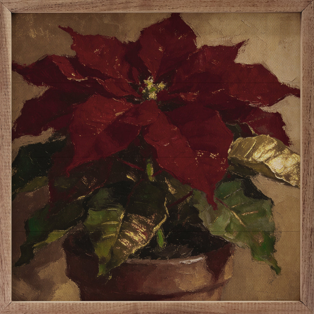 Dark Winter Poinsettia