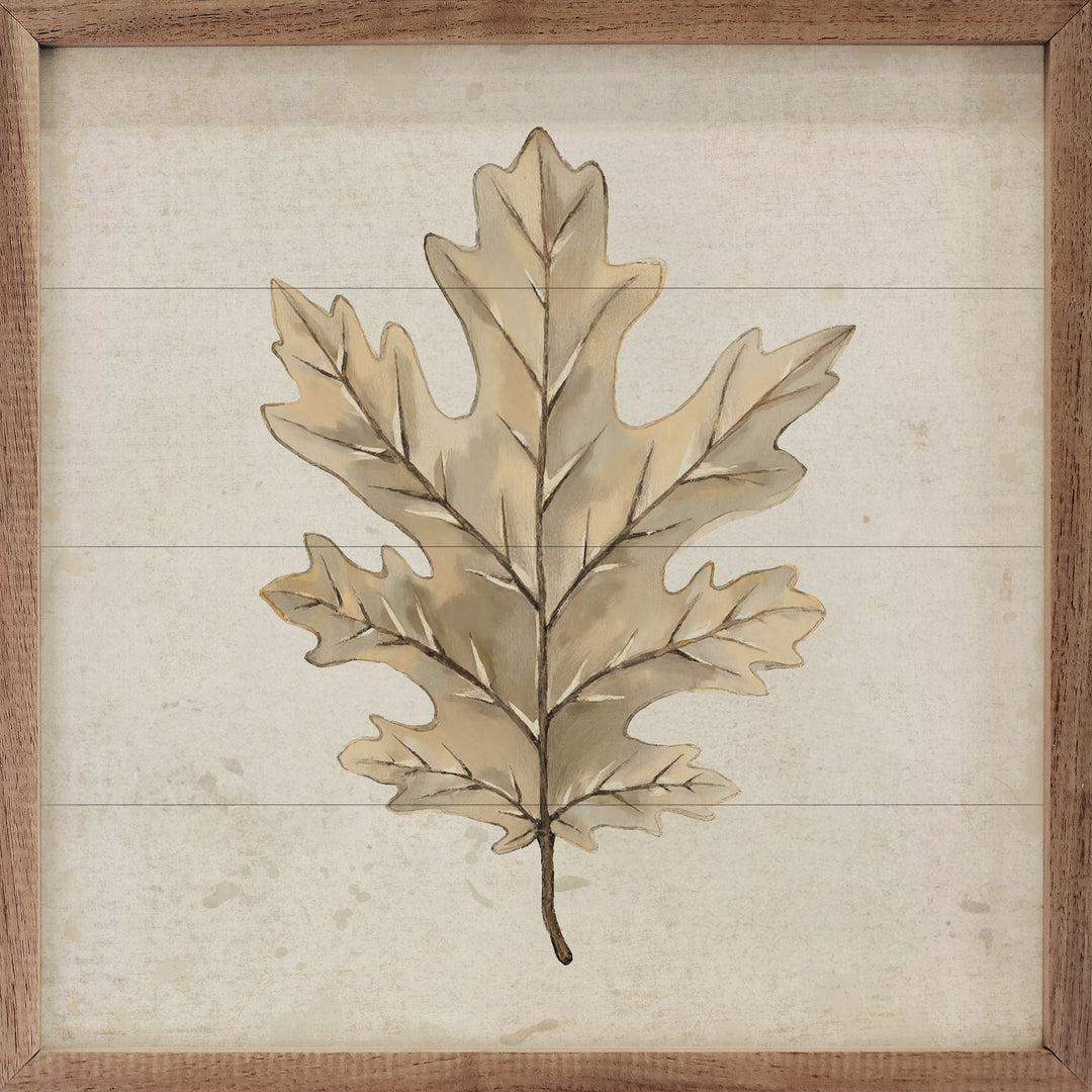 Oak Leaf