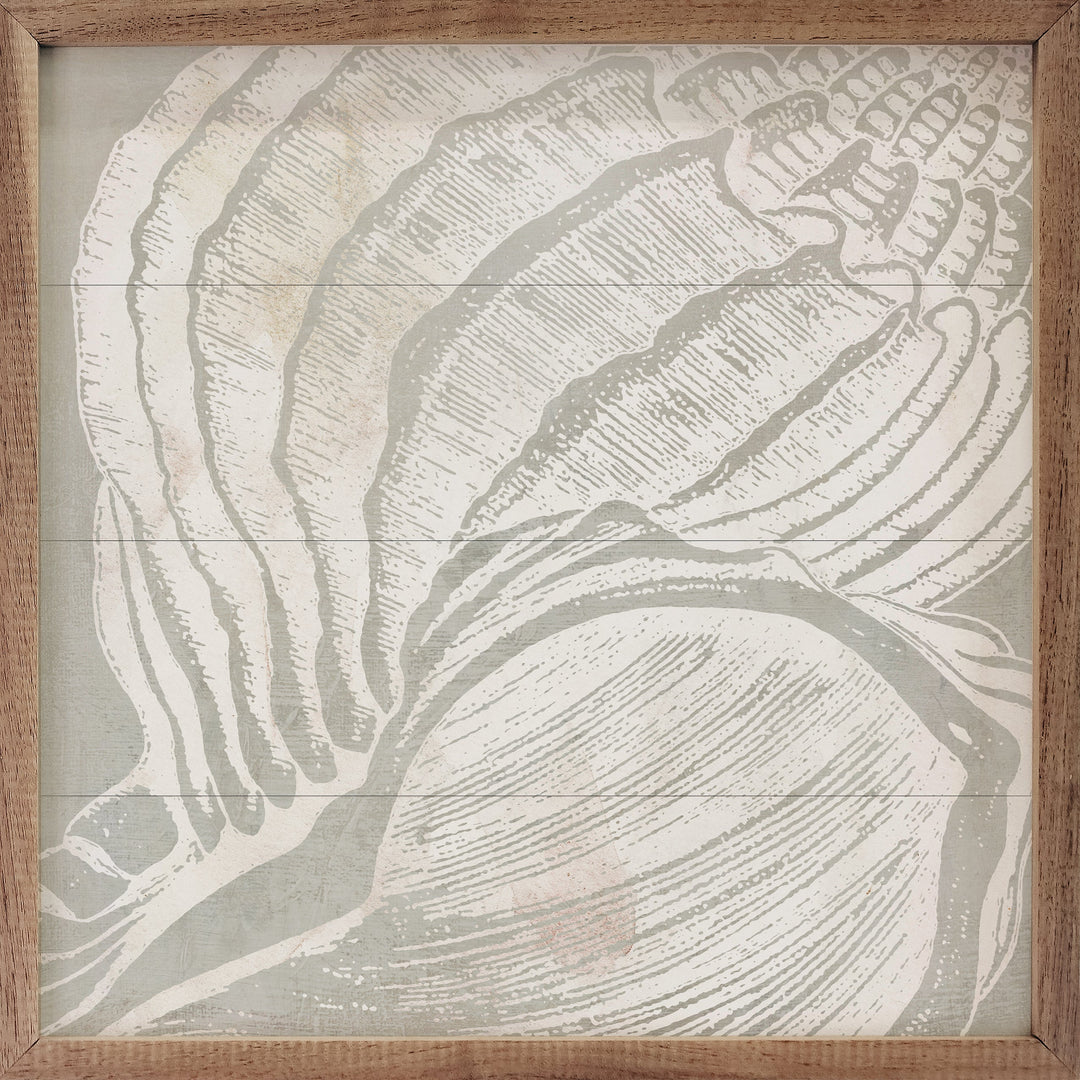 Seashell Close Up II By Carol Robinson