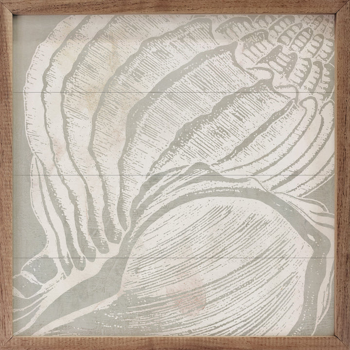 Seashell Close Up II By Carol Robinson