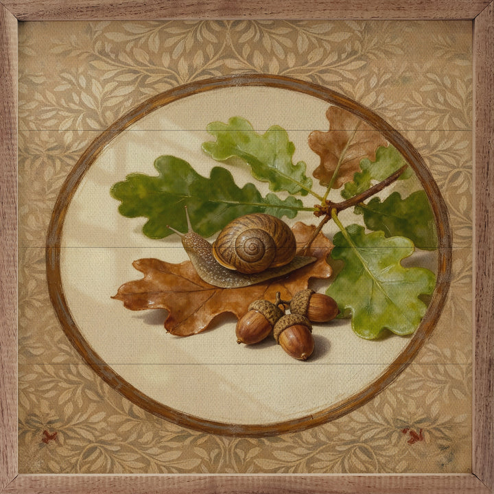 Oak Leaves And Snail