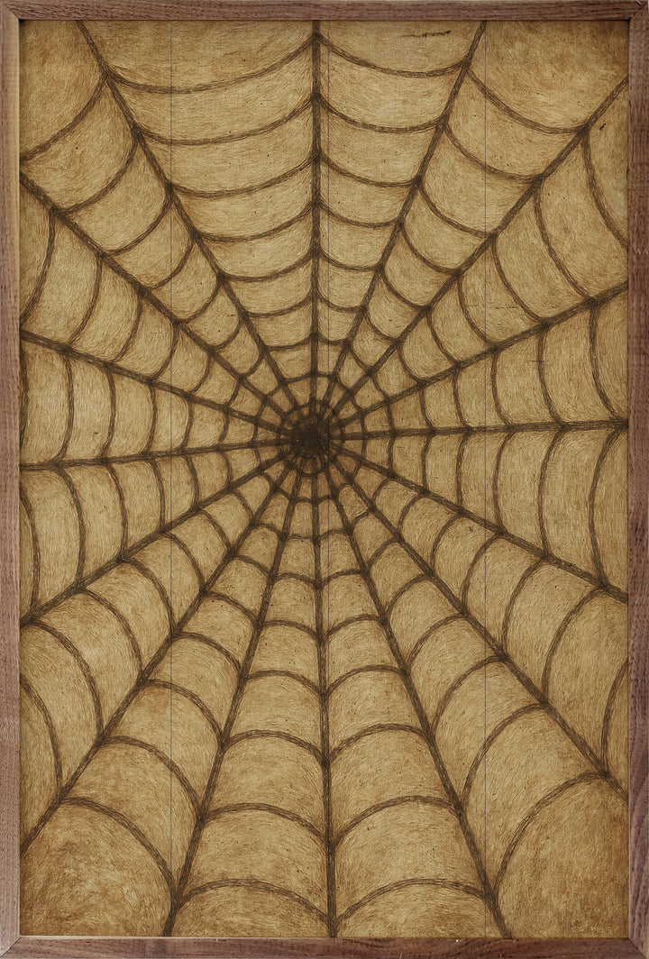Spider Web Brown