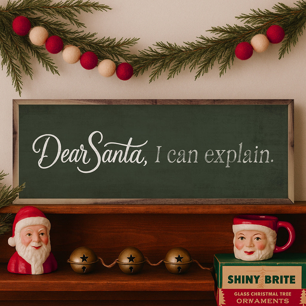 Dear Santa I Can Explain