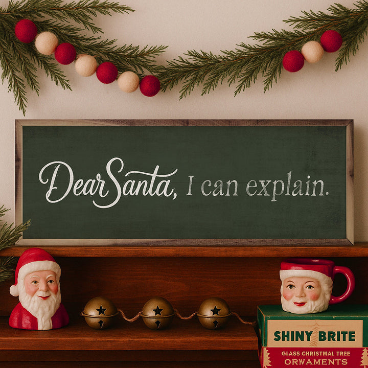 Dear Santa I Can Explain