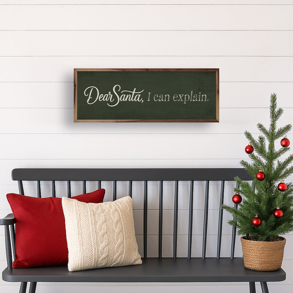 Dear Santa I Can Explain