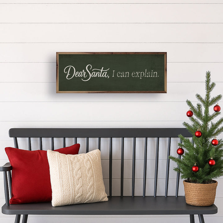 Dear Santa I Can Explain