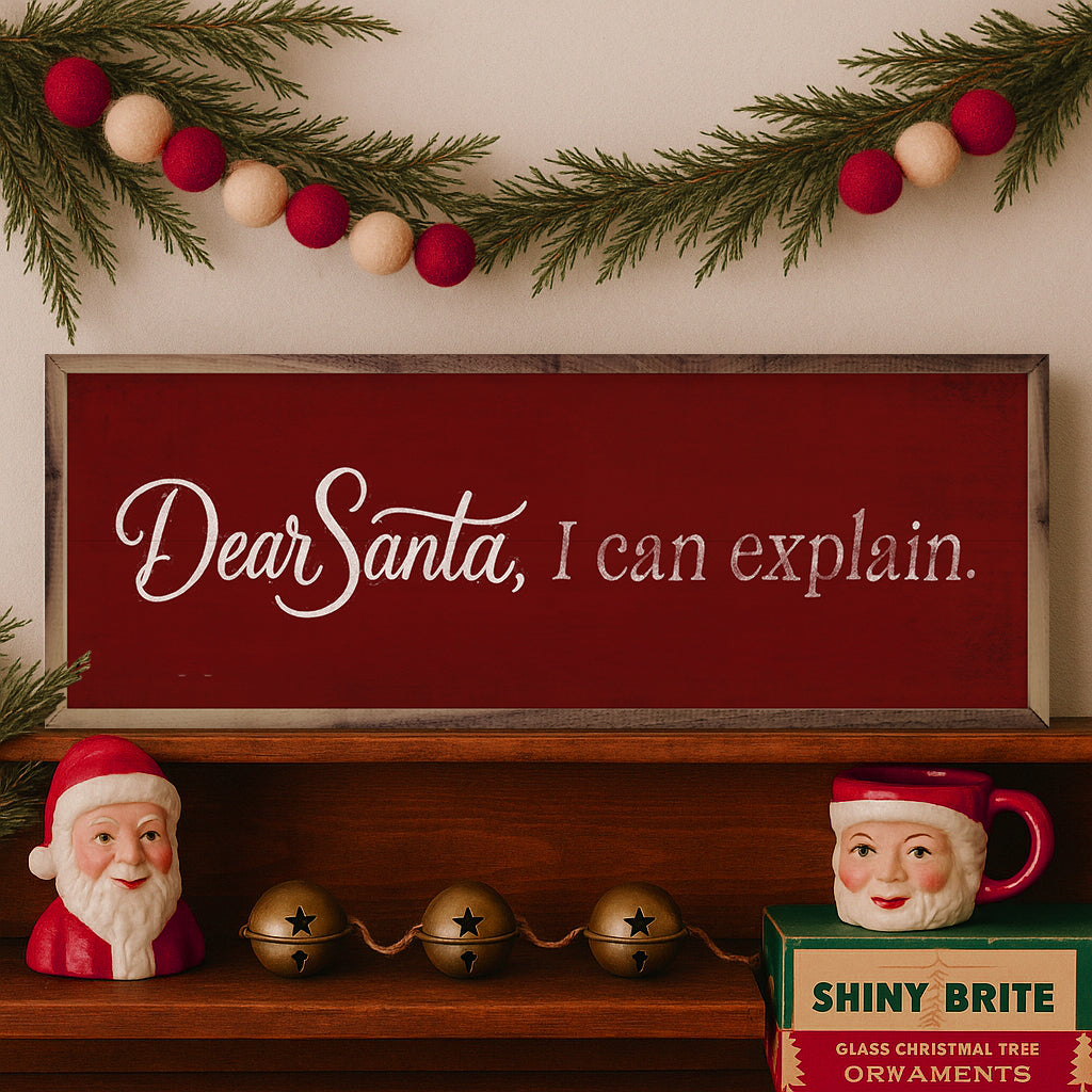 Dear Santa I Can Explain