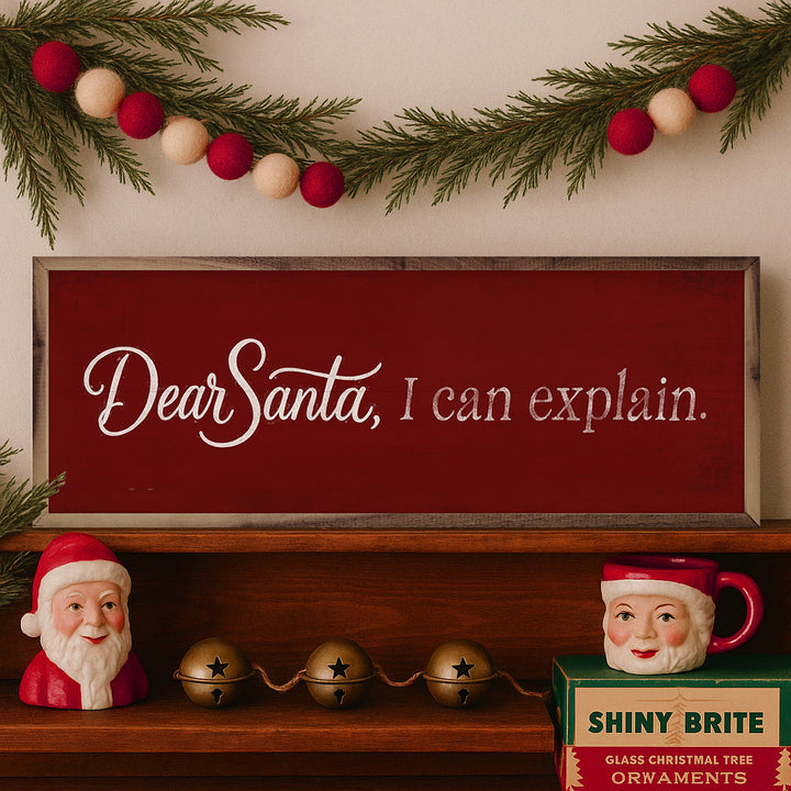 Dear Santa I Can Explain