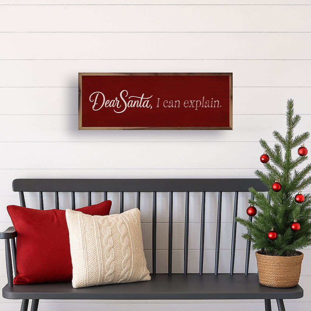 Dear Santa I Can Explain