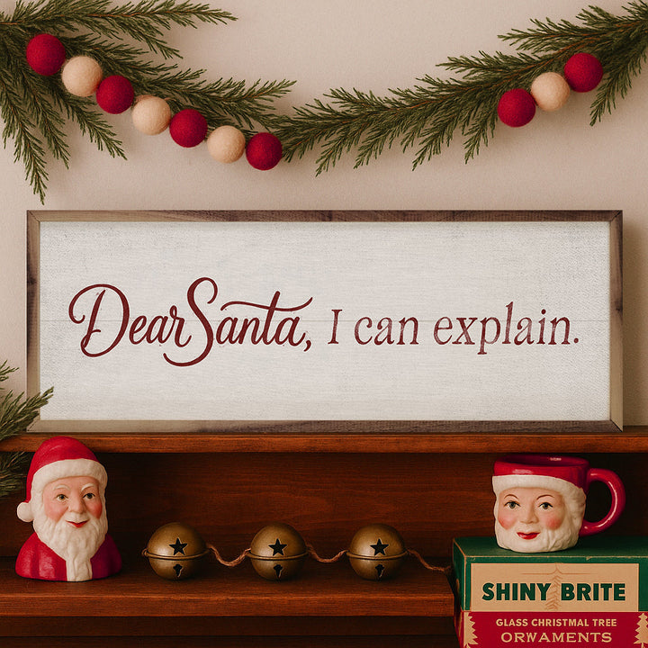 Dear Santa I Can Explain