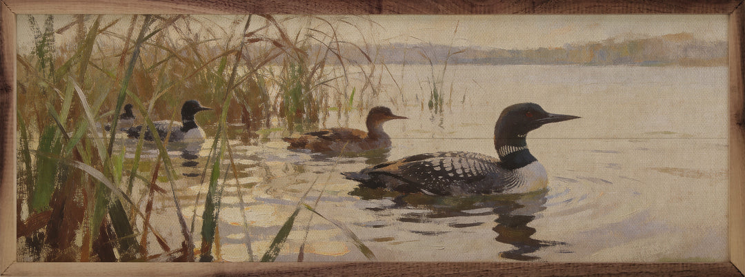 Loons Along The Shore