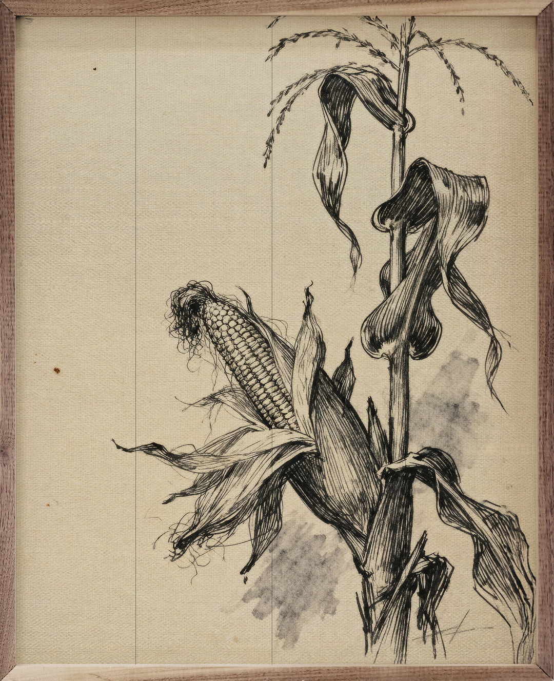 Corn Stalk