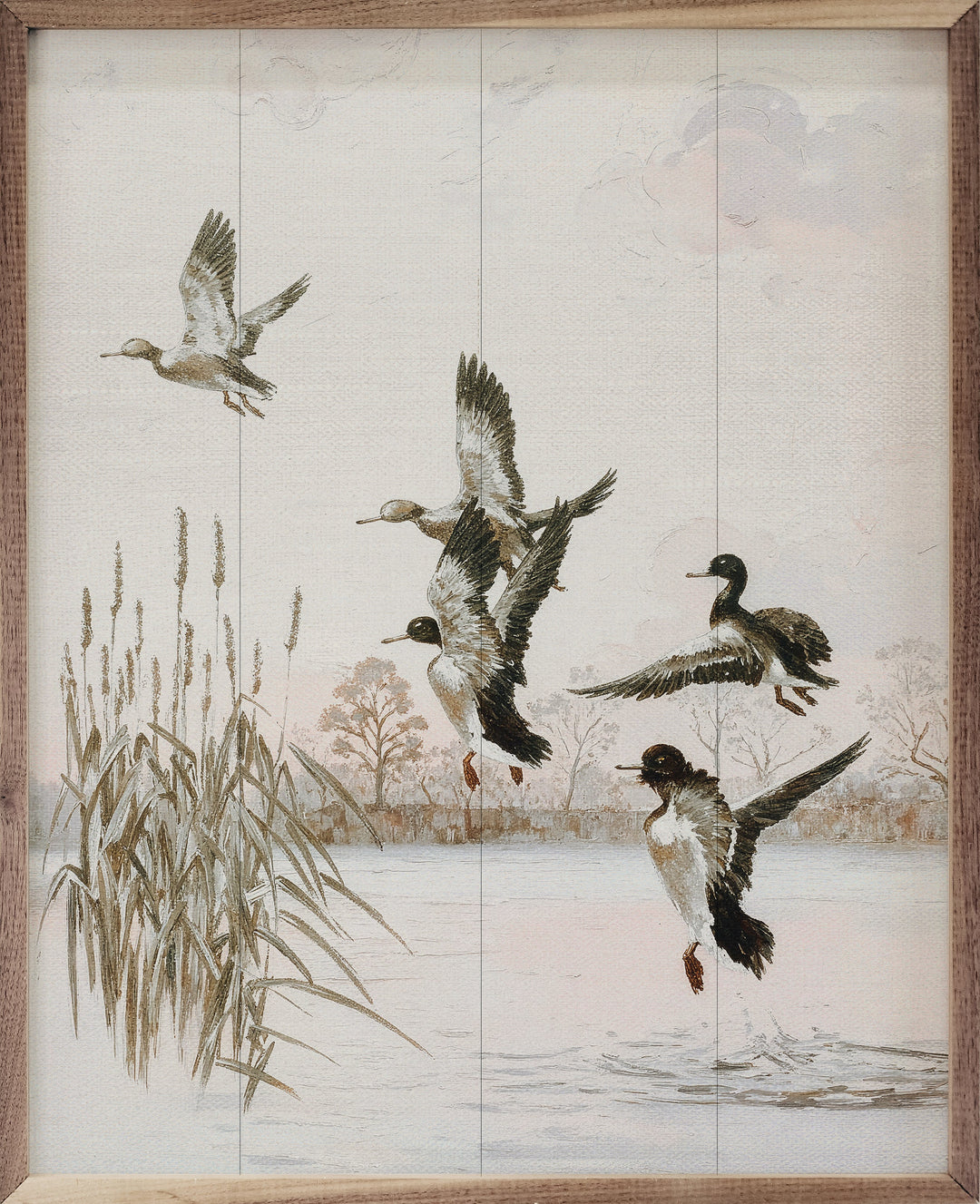 Wood Ducks On The Lake