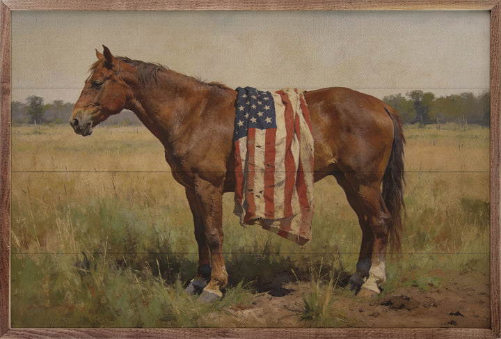 Bay Mare Horse With American Flag