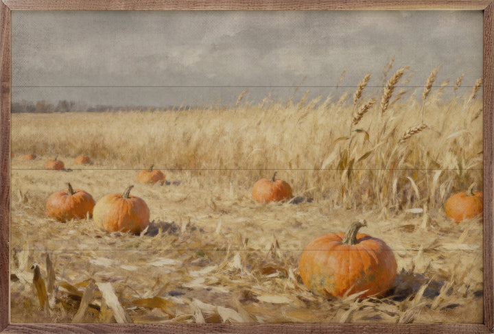 Pumpkin Patch In Field