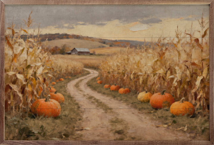 Corn Field Lane With Pumpkins