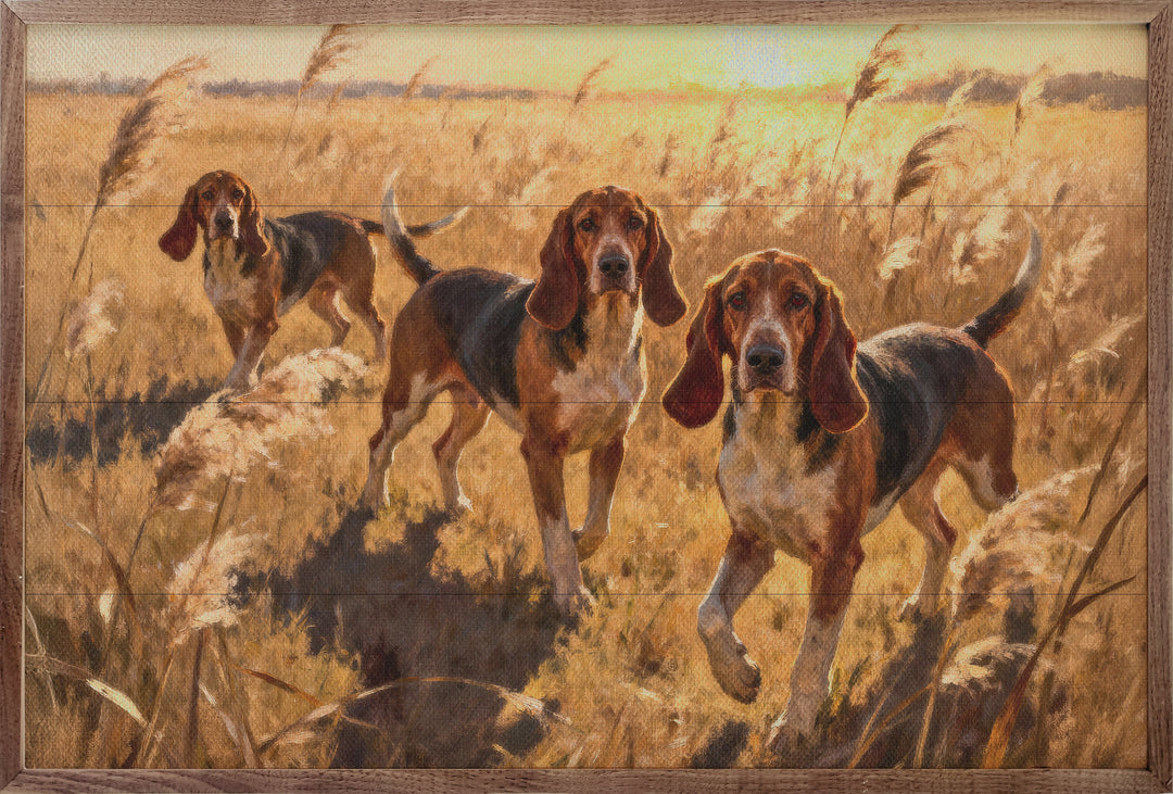 Ready To Hunt Three Hounds