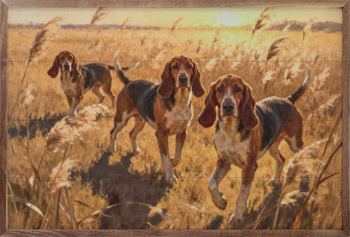 Ready To Hunt Three Hounds