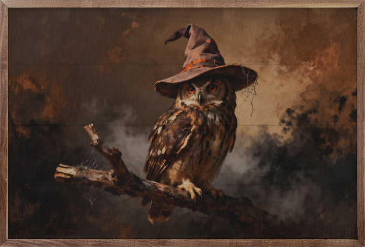 Witch Owl