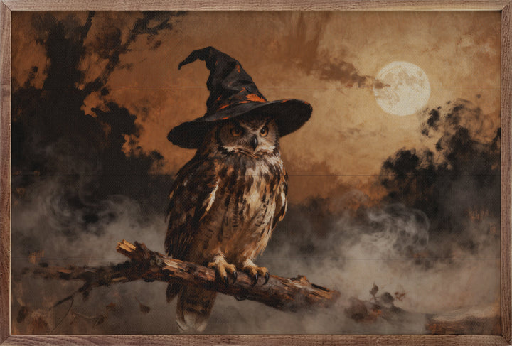 Witch Owl With Moon