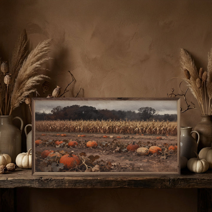Pumpkin Patch With Corn Field