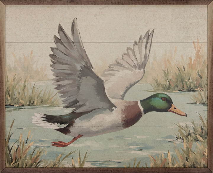 Duck Over Pond