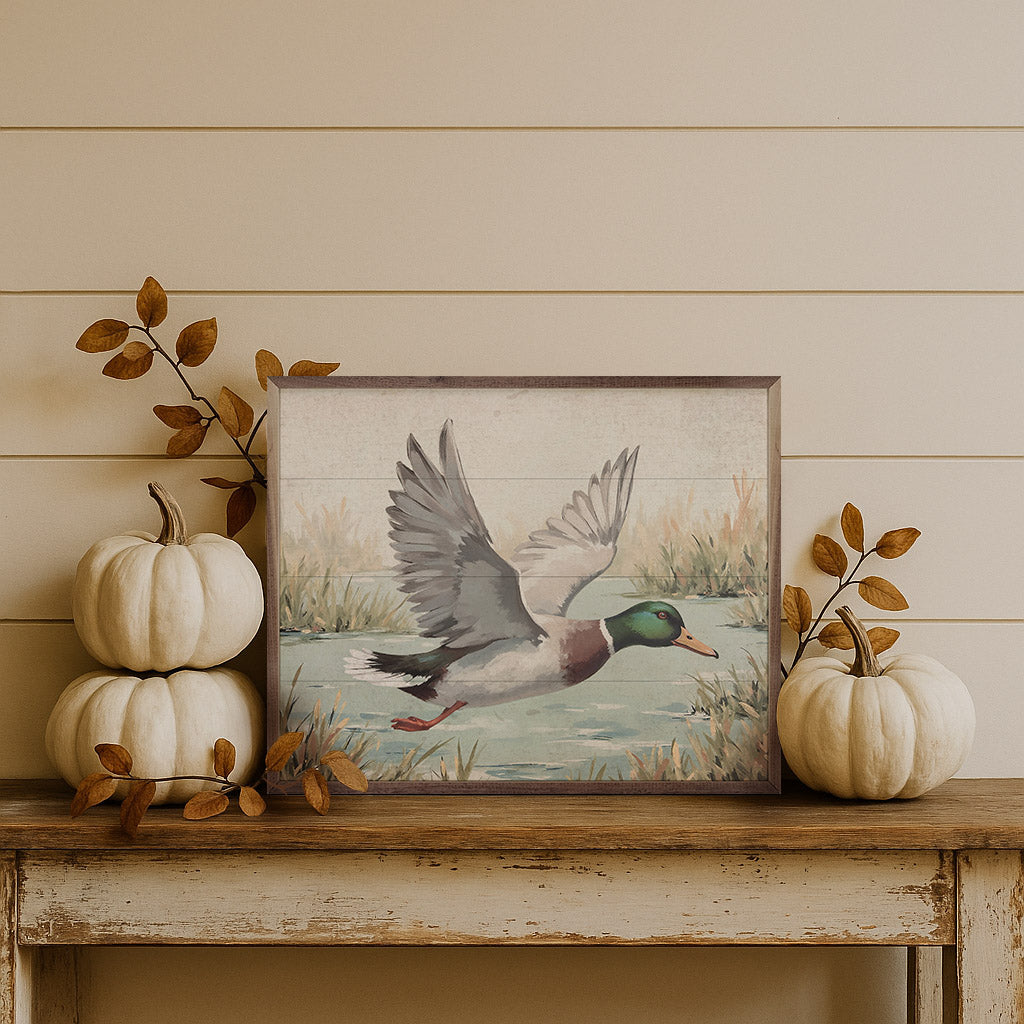 Duck Over Pond