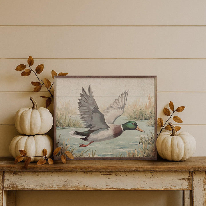 Duck Over Pond