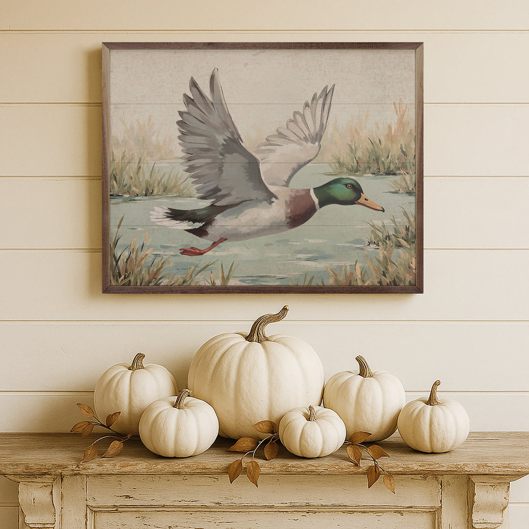 Duck Over Pond
