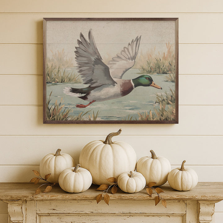 Duck Over Pond