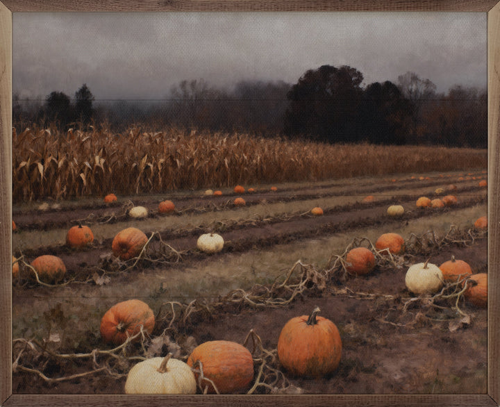 Time For Pumpkin Harvest
