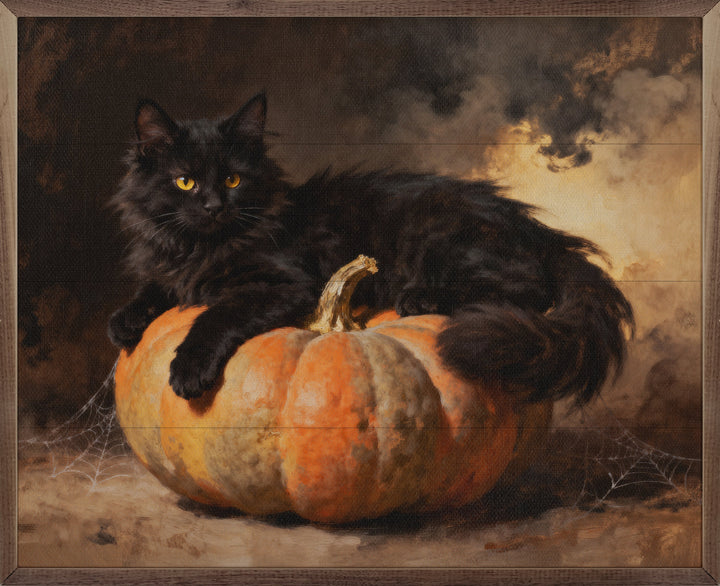 Black Cat On Pumpkin
