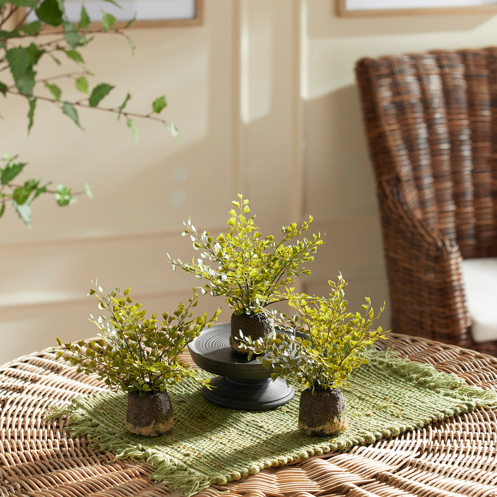 Maidenhair Drop-Ins, Set Of 3