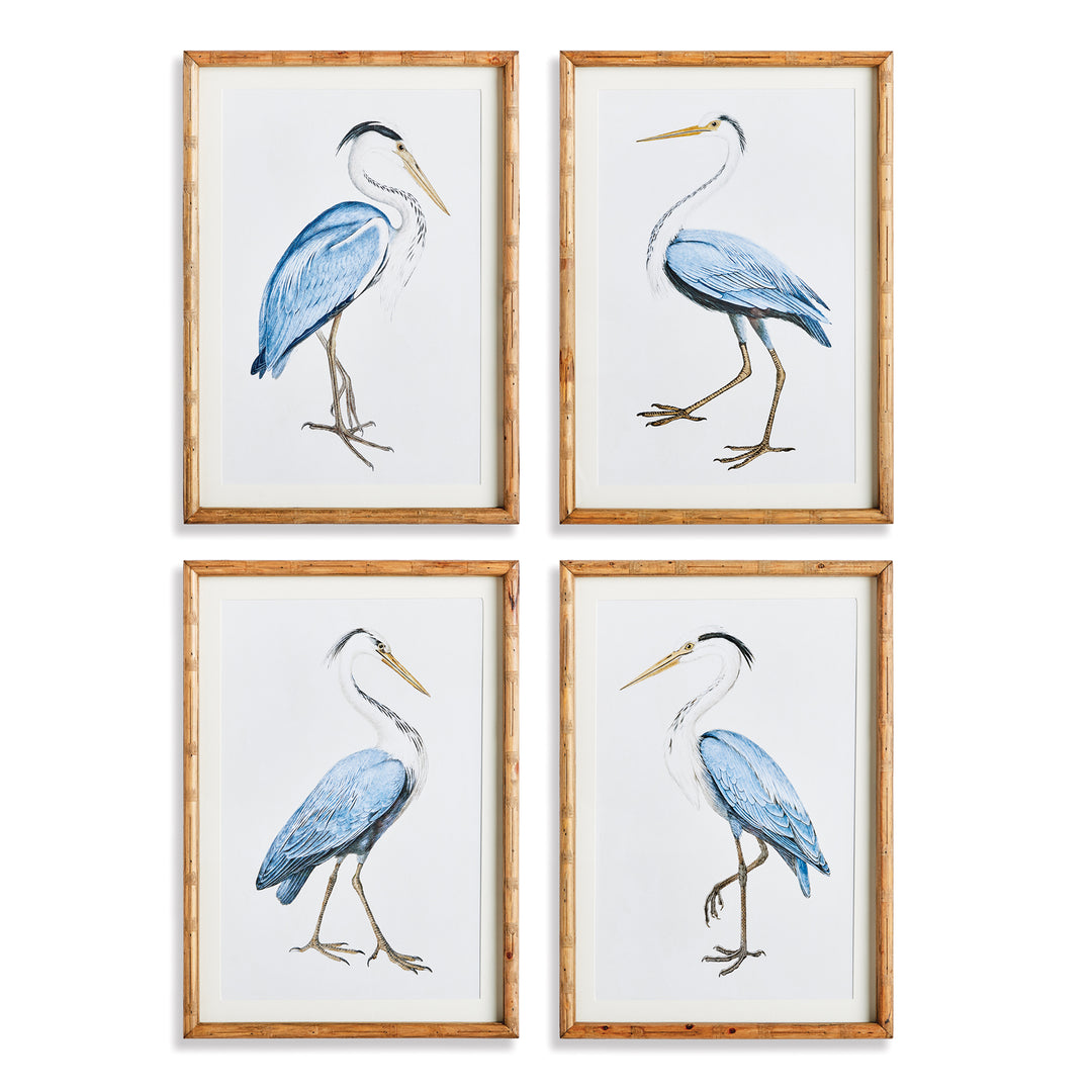 Elegant Blue Heron Prints, Set Of 4