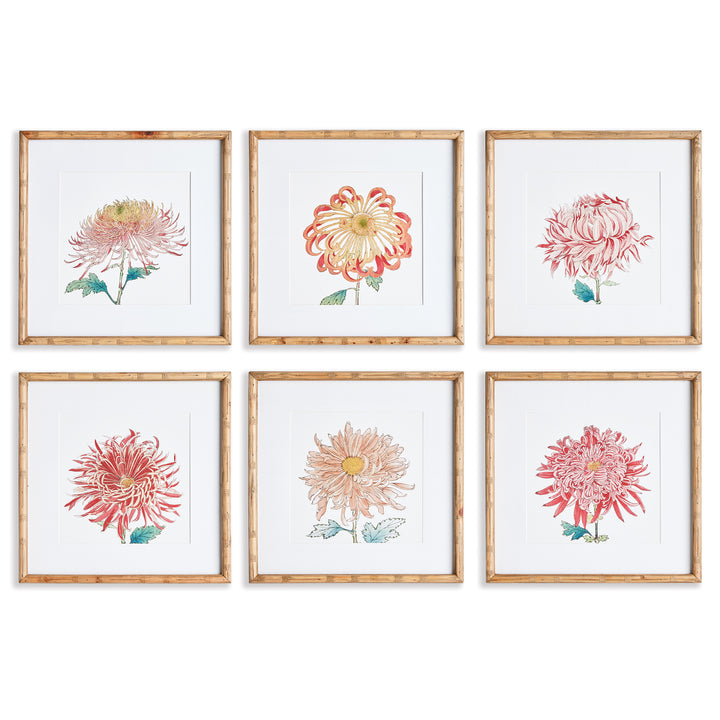 Colorful Chrysanthemum Prints St/6