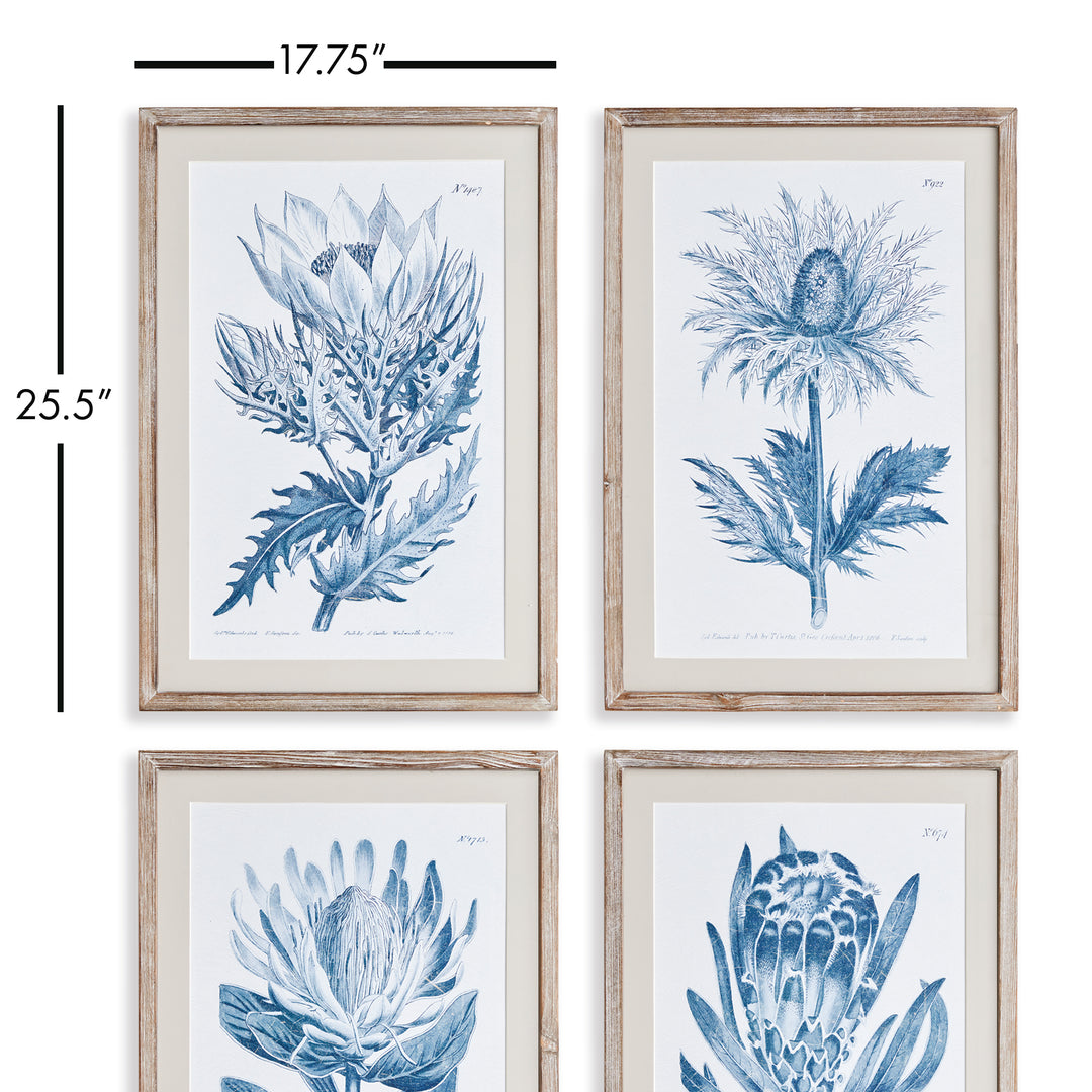 Indigo Protea Prints St/4