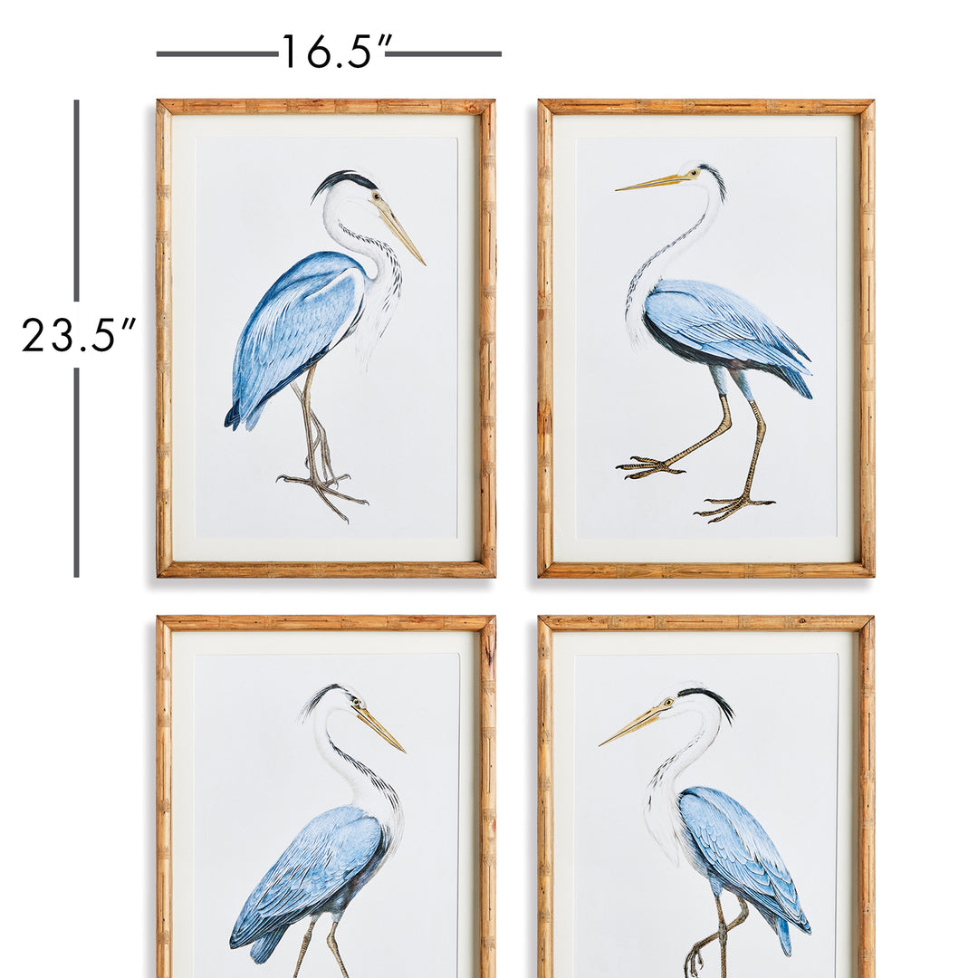 Elegant Blue Heron Prints, Set Of 4