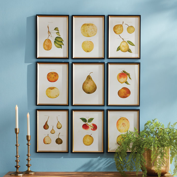 Assorted Fruits Study, Set Of 9