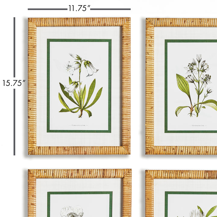 White Floral Study, Set Of 4