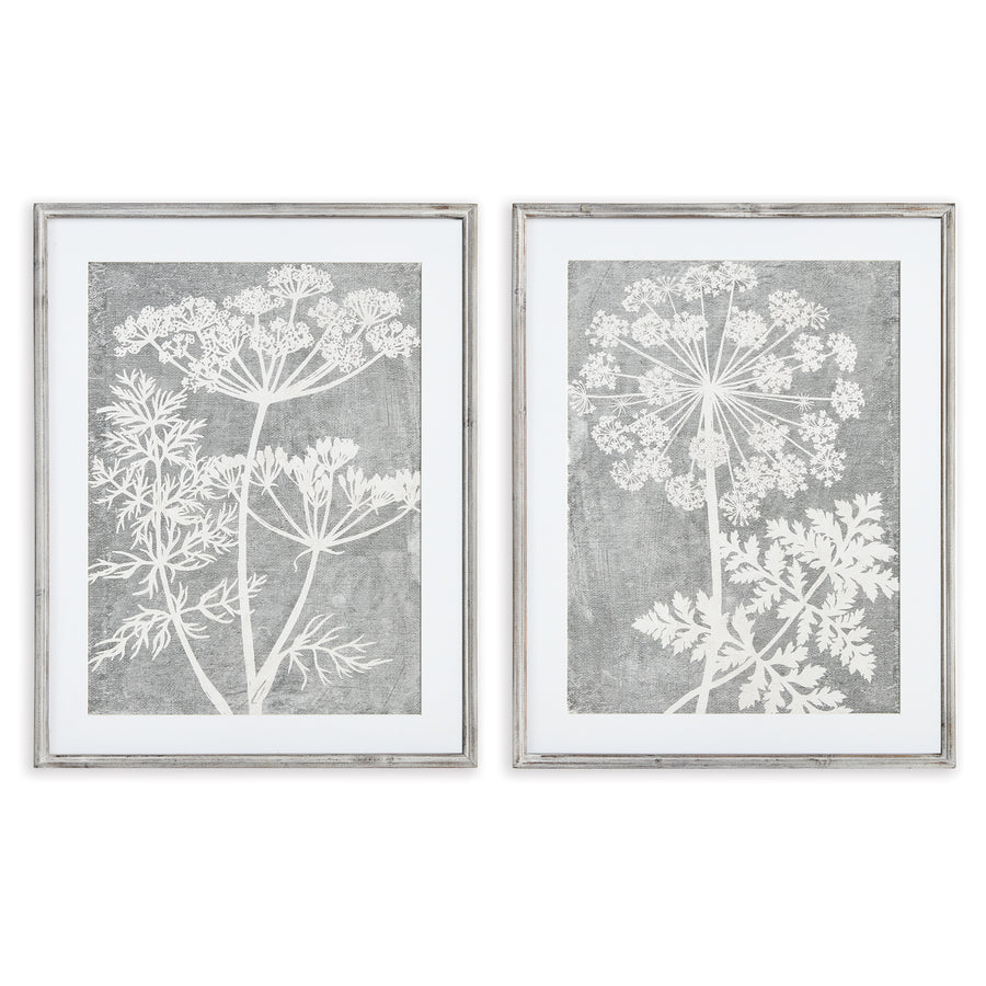 Blooming Queen Anne'S Lace Prints, Set Of 2