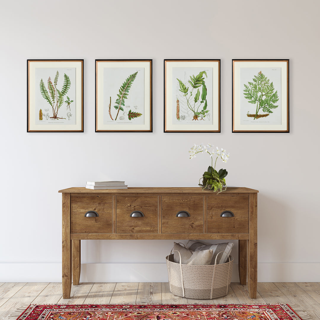 Structural Fern Study, Set Of 4