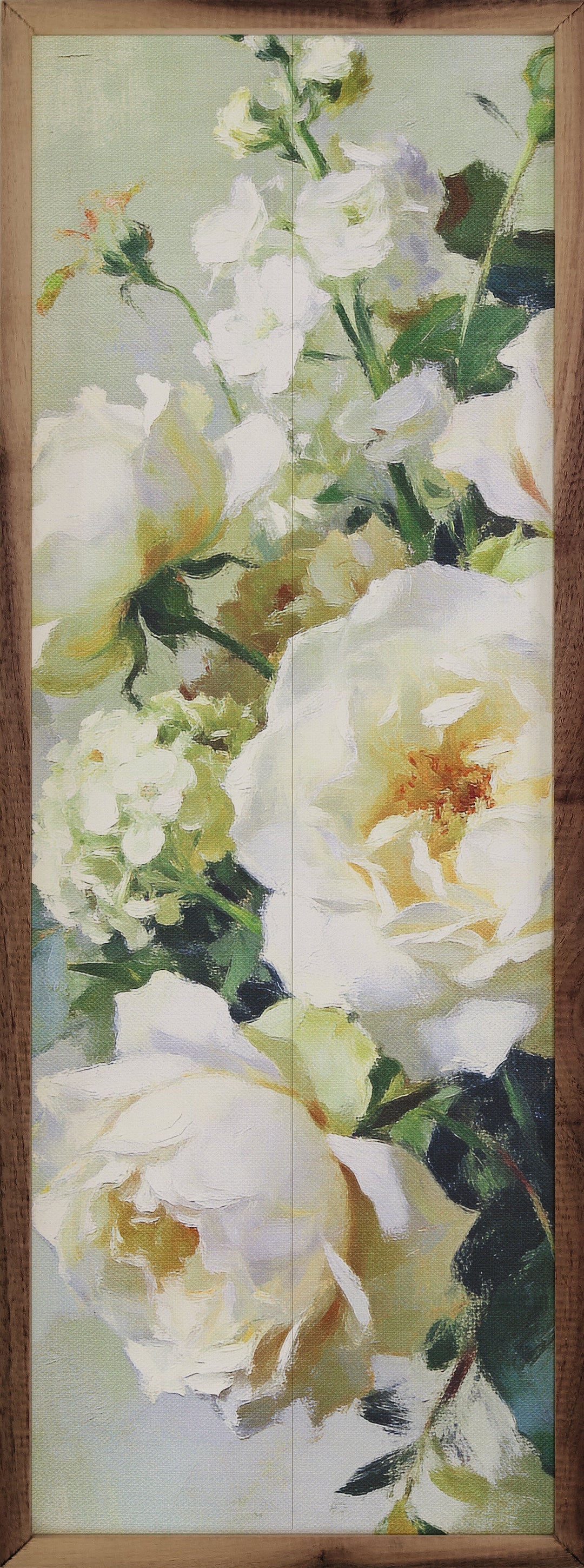Cream Garden Roses In Bloom