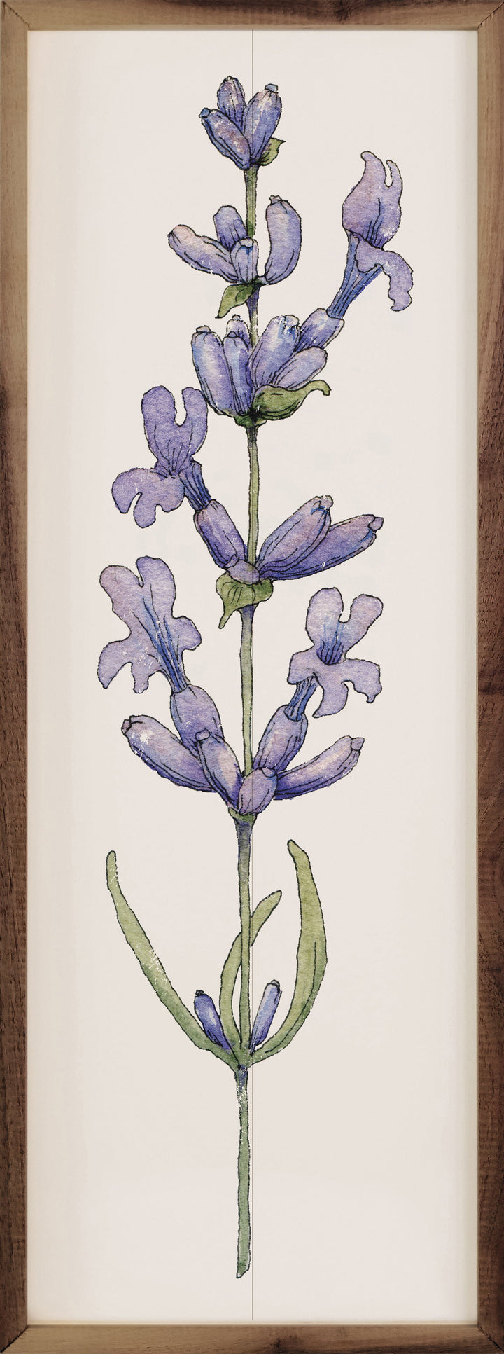 Lavender Stem