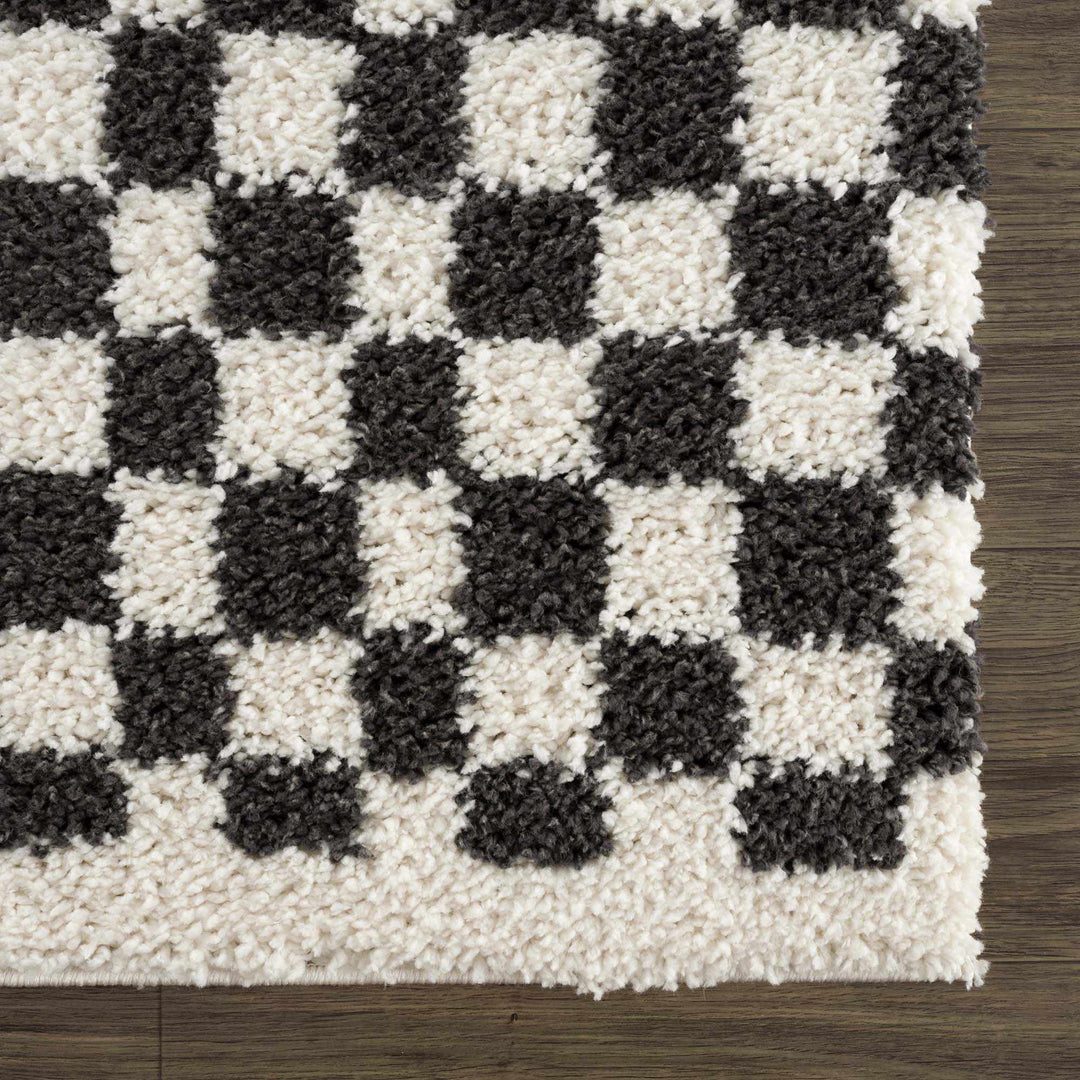 Kieu Black & White Checkered Shag Rug