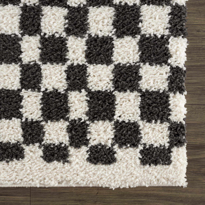 Kieu Black & White Checkered Shag Rug