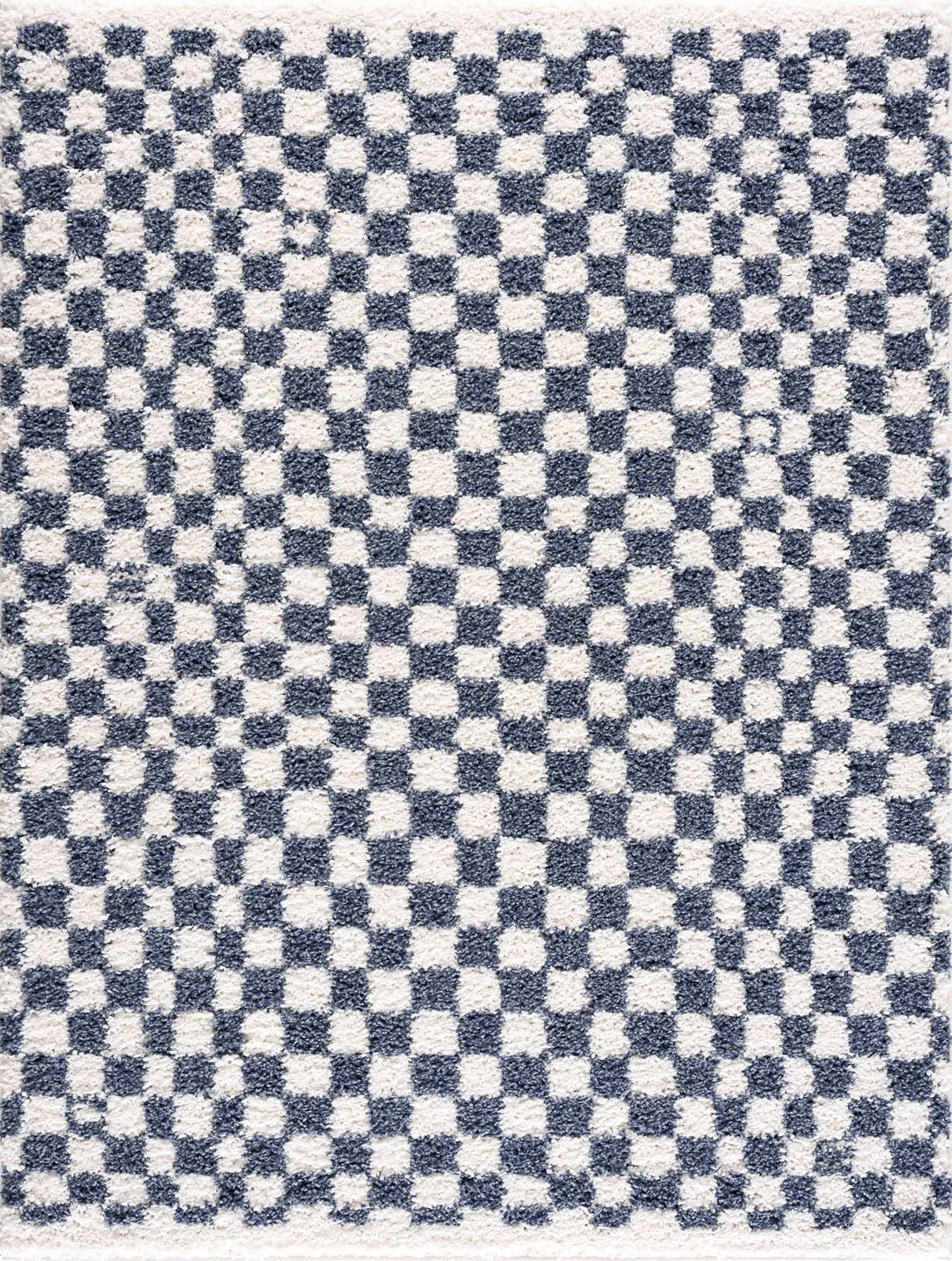 Kieu Blue & White Checkered Area Rug