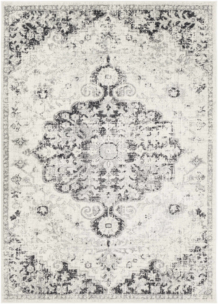 Decorative rug with intricate pattern on a light background

Bodrum Gray Area Rug