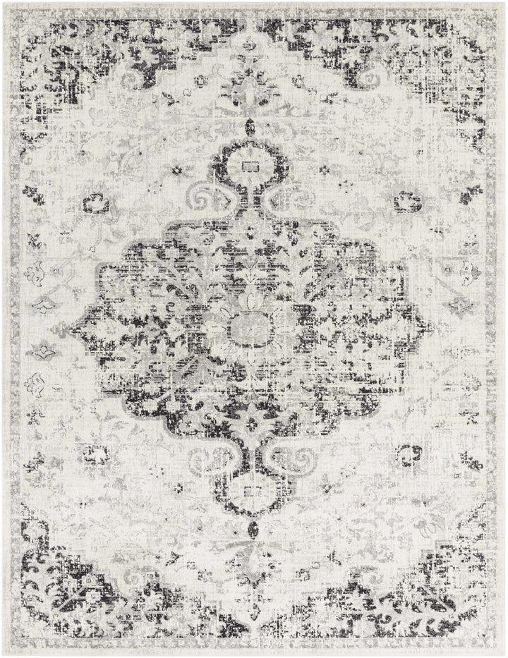 Decorative rug with intricate pattern on a white background

Bodrum Gray Area Rug