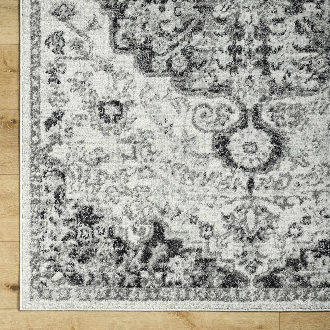 Decorative rug with intricate pattern on a wooden floor

Bodrum Gray Area Rug