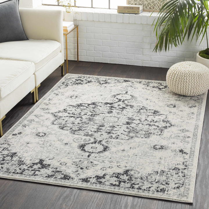 Living room with a patterned rug, white sofa, and decorative elements.

Bodrum Gray Area Rug